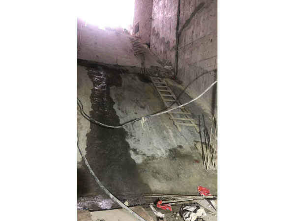 �����Ҷ�©