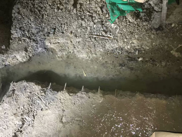 �����Ҷ�©