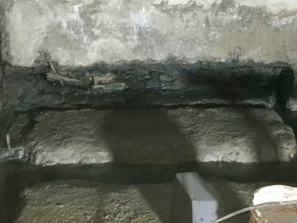 �����Ҷ�©