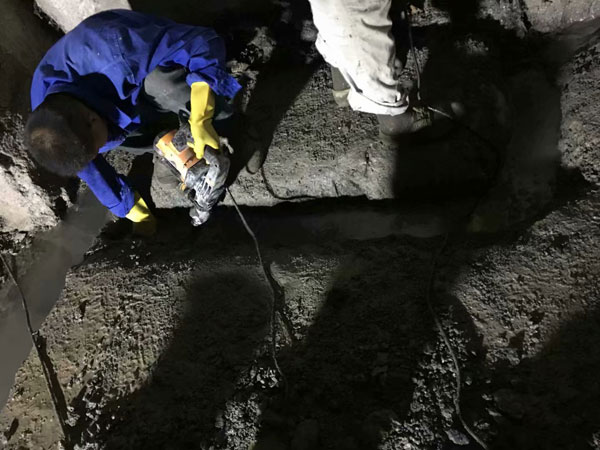 �����Ҷ�©