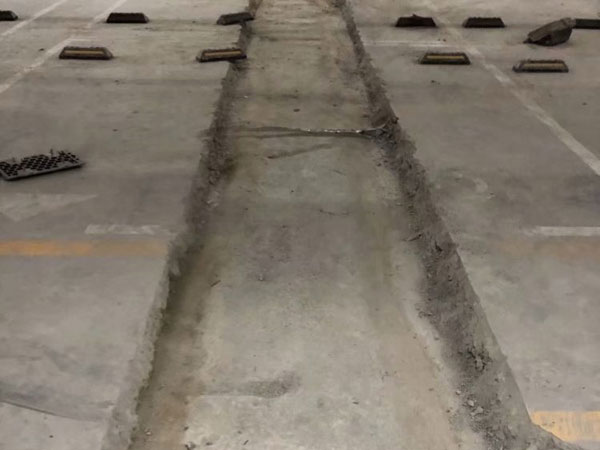 �����Ҷ�©