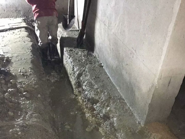 �����Ҷ�©