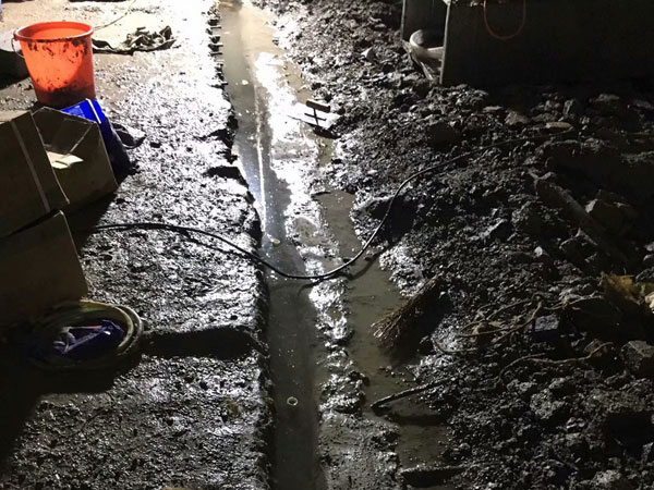 �����Ҷ�©