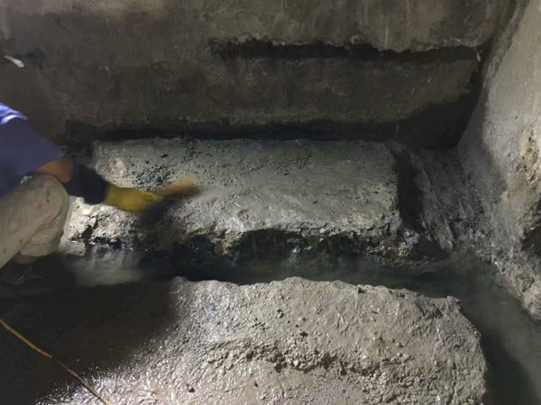 �����Ҷ�©