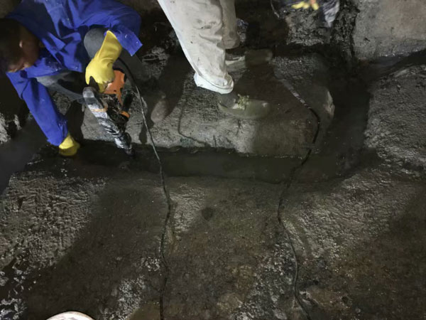 �����Ҷ�©