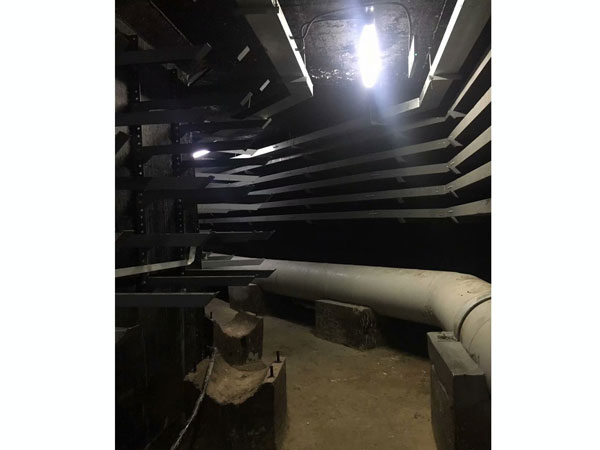 �����Ҷ�©