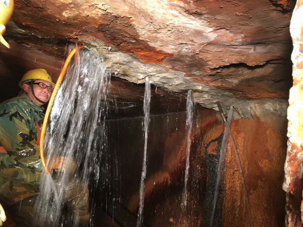 �����Ҷ�©