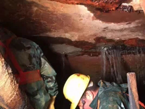 �����Ҷ�©